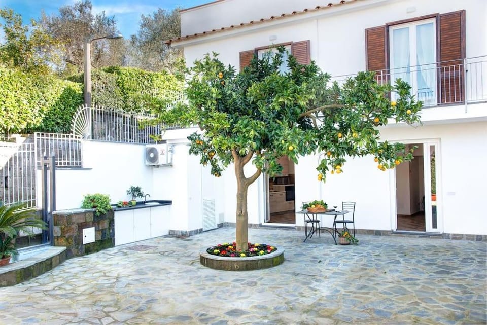 Property building, Patio, Spring, Garden, Garden view