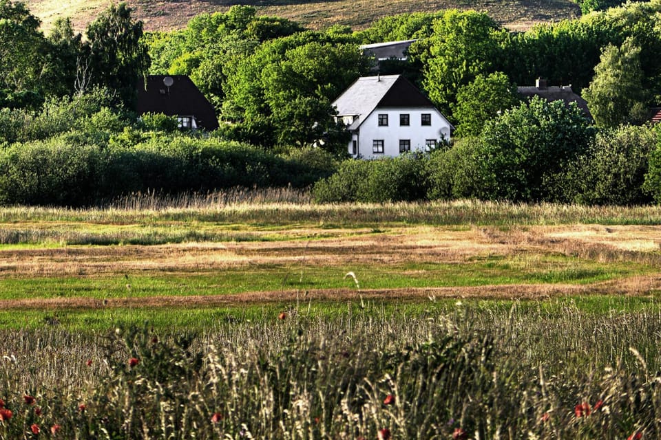 Property building, Day, Natural landscape, Mountain view