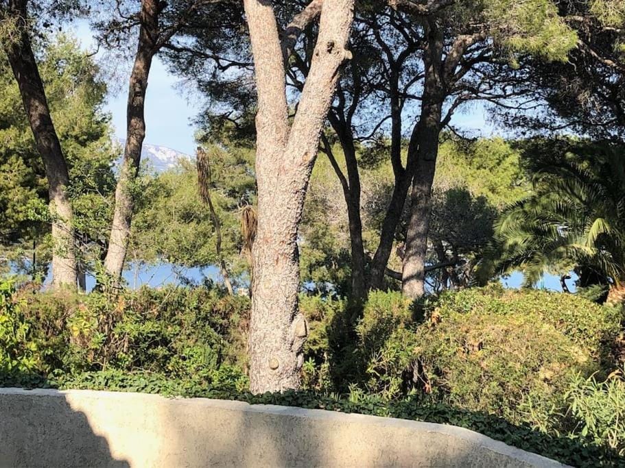 Garden view, Sea view