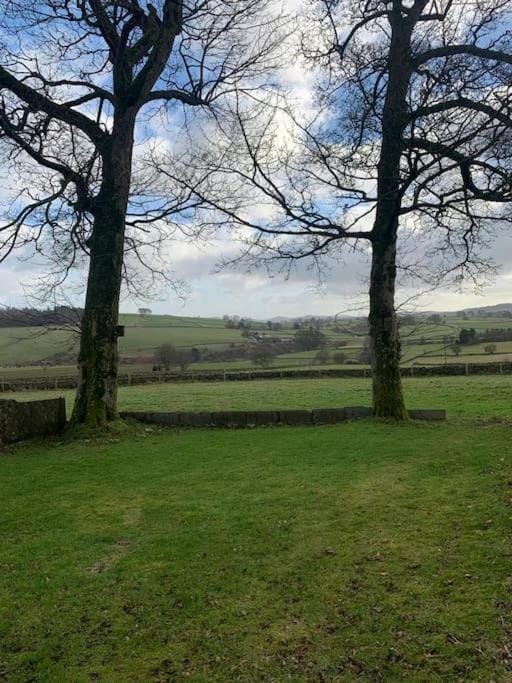 Spring, Day, Natural landscape, Garden, Garden view