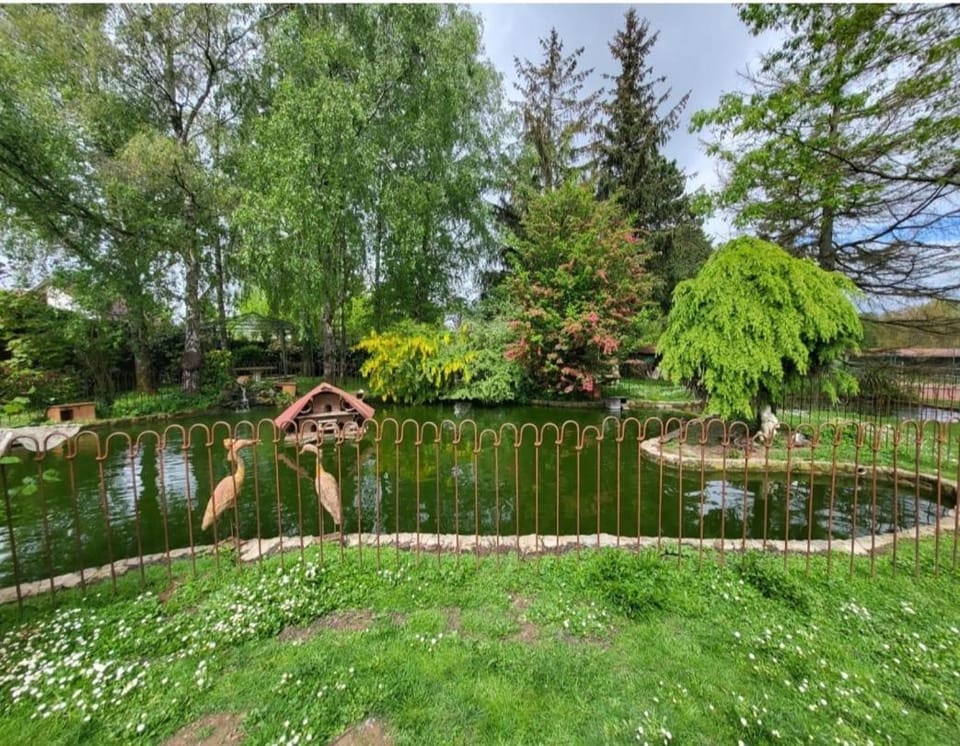 Natural landscape, Garden, Garden, Garden view