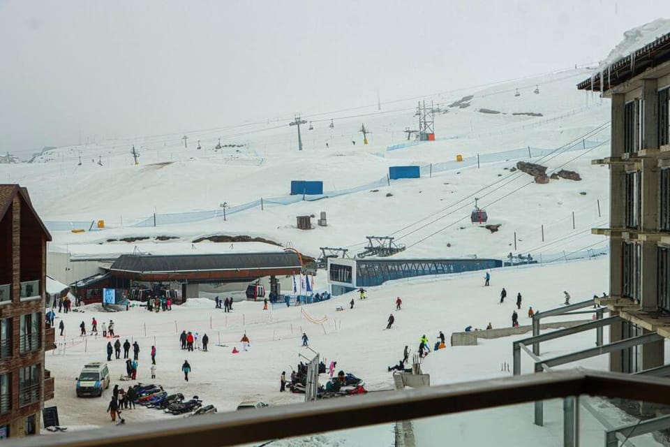 Day, People, Winter, Skiing, group of guests