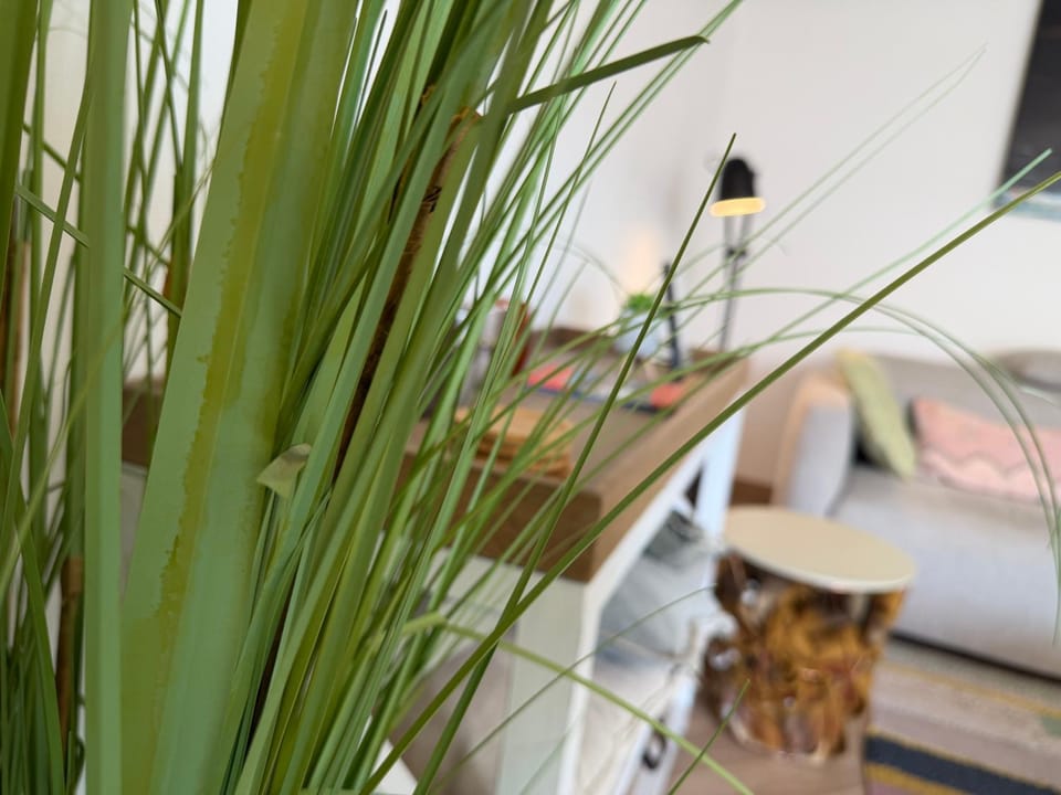 Beachday II - Opkuis inbegrepen in de prijs - Garagebox inbegrepen Apartment in Koksijde