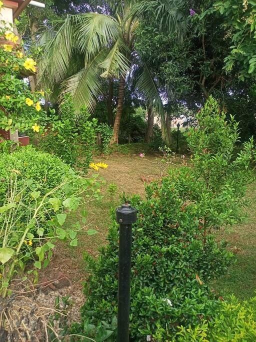 Garden, Garden view