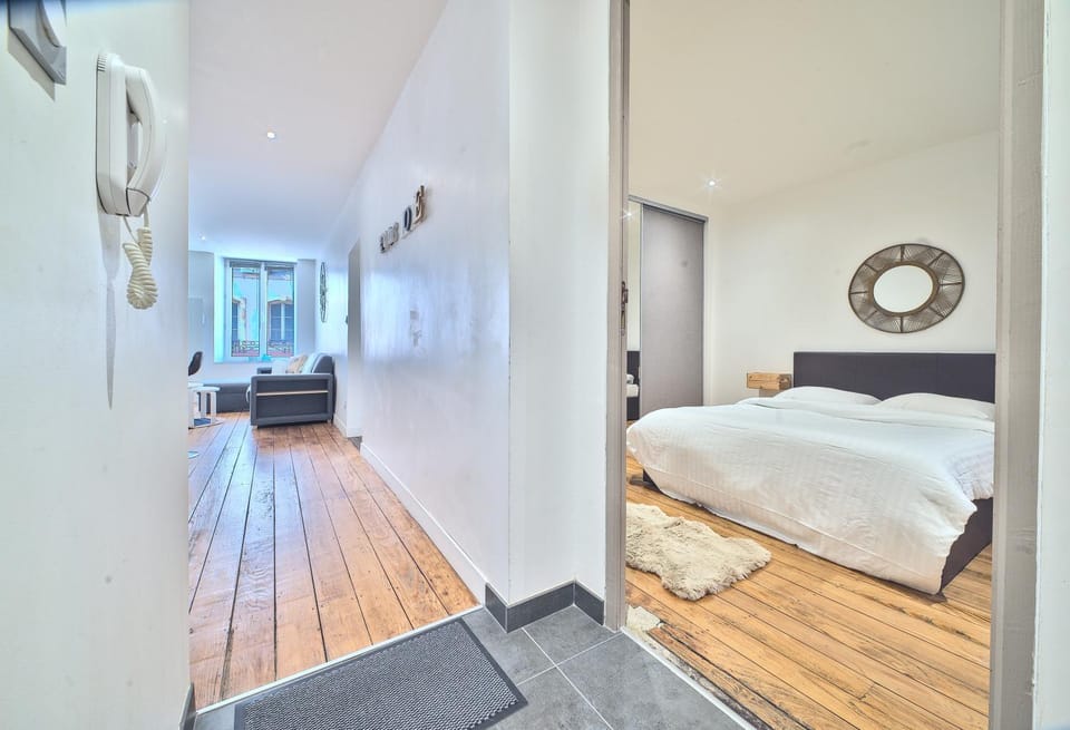 UnSejourAMetz - Les douillets, du T2 au T3, hyper-centre Apartment in Metz