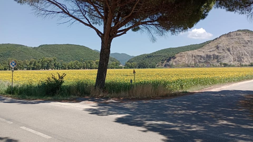 Casa vacanze Toscana,lago di Massaciuccoli House in Emilia-Romagna