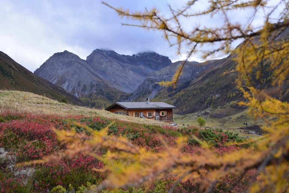 Property building, Autumn, Mountain view