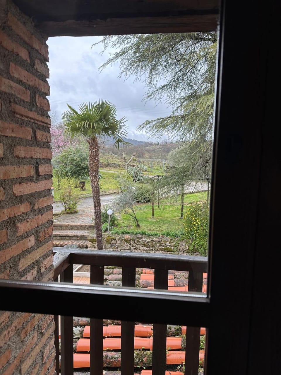 View (from property/room), Garden view