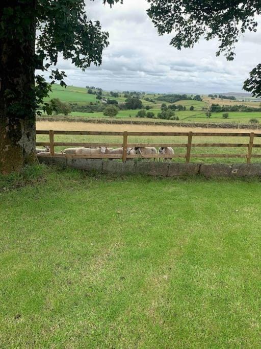 Spring, Day, Natural landscape, Garden, Garden view