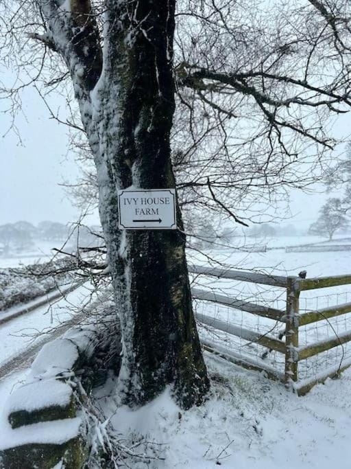 Natural landscape, Winter