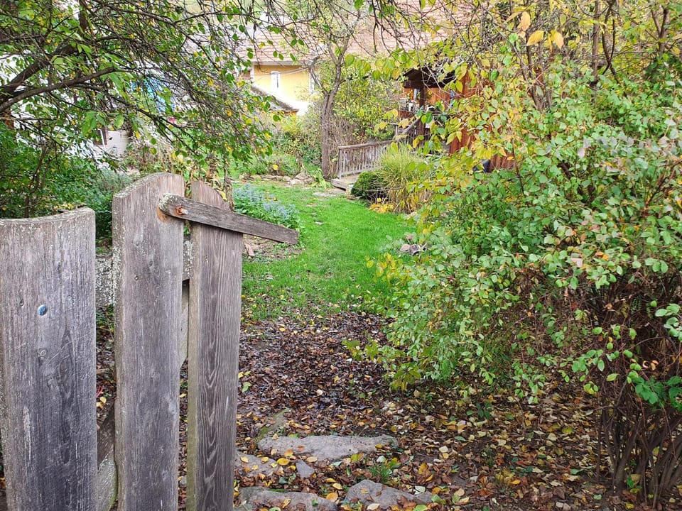 Garden, Garden, Garden view