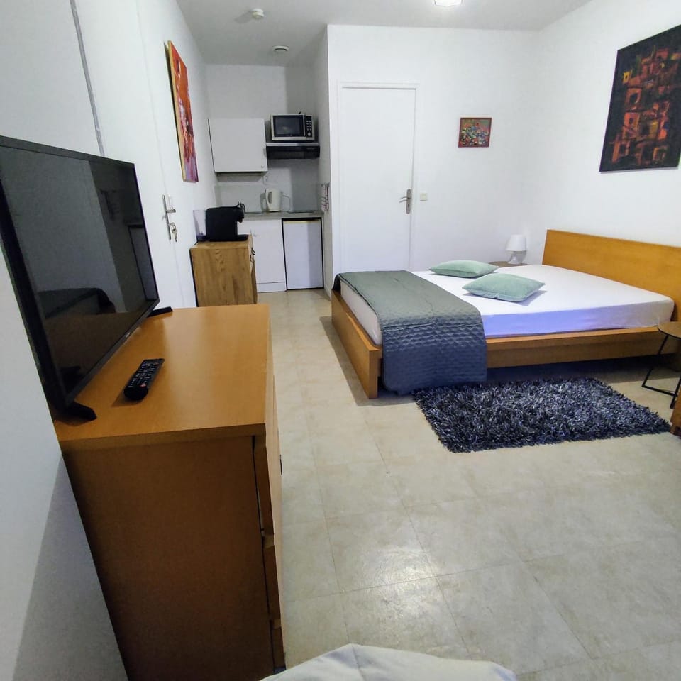 Bed, TV and multimedia, Kitchen or kitchenette, Photo of the whole room, Bedroom, minibar
