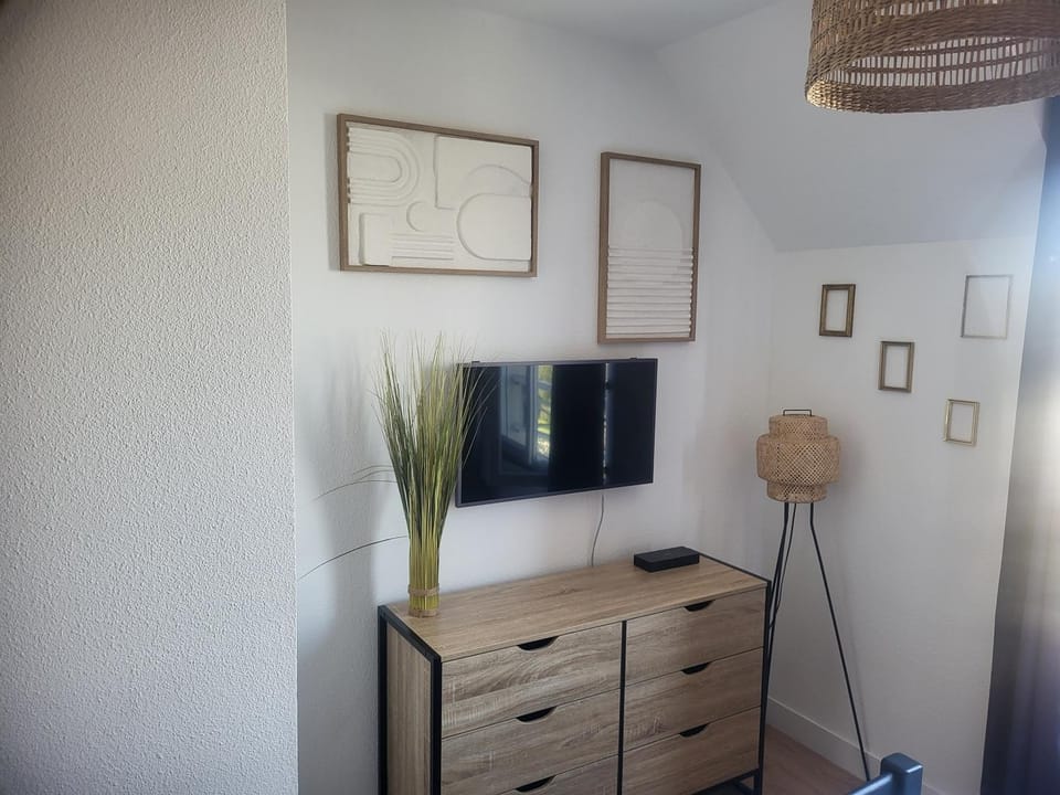 TV and multimedia