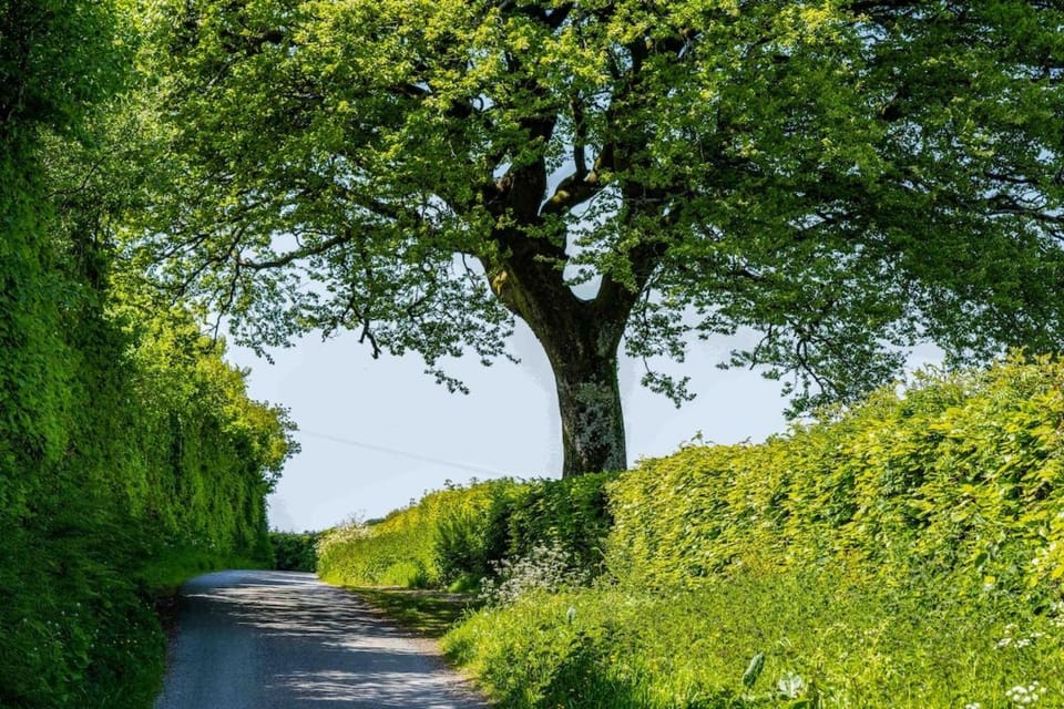 Primrose Cottage, Triscombe Farm Cottages Apartment in West Somerset District