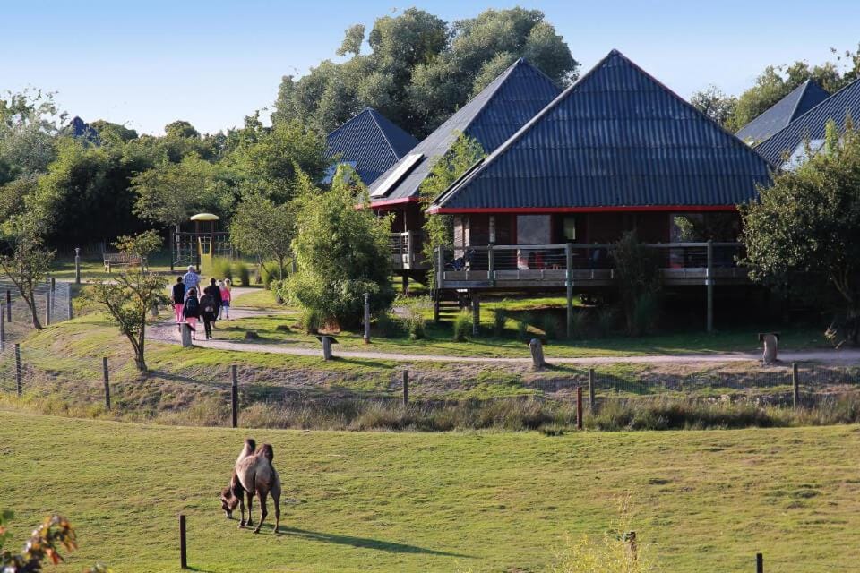 Cerza Safari Lodge Luxury tent in Normandy