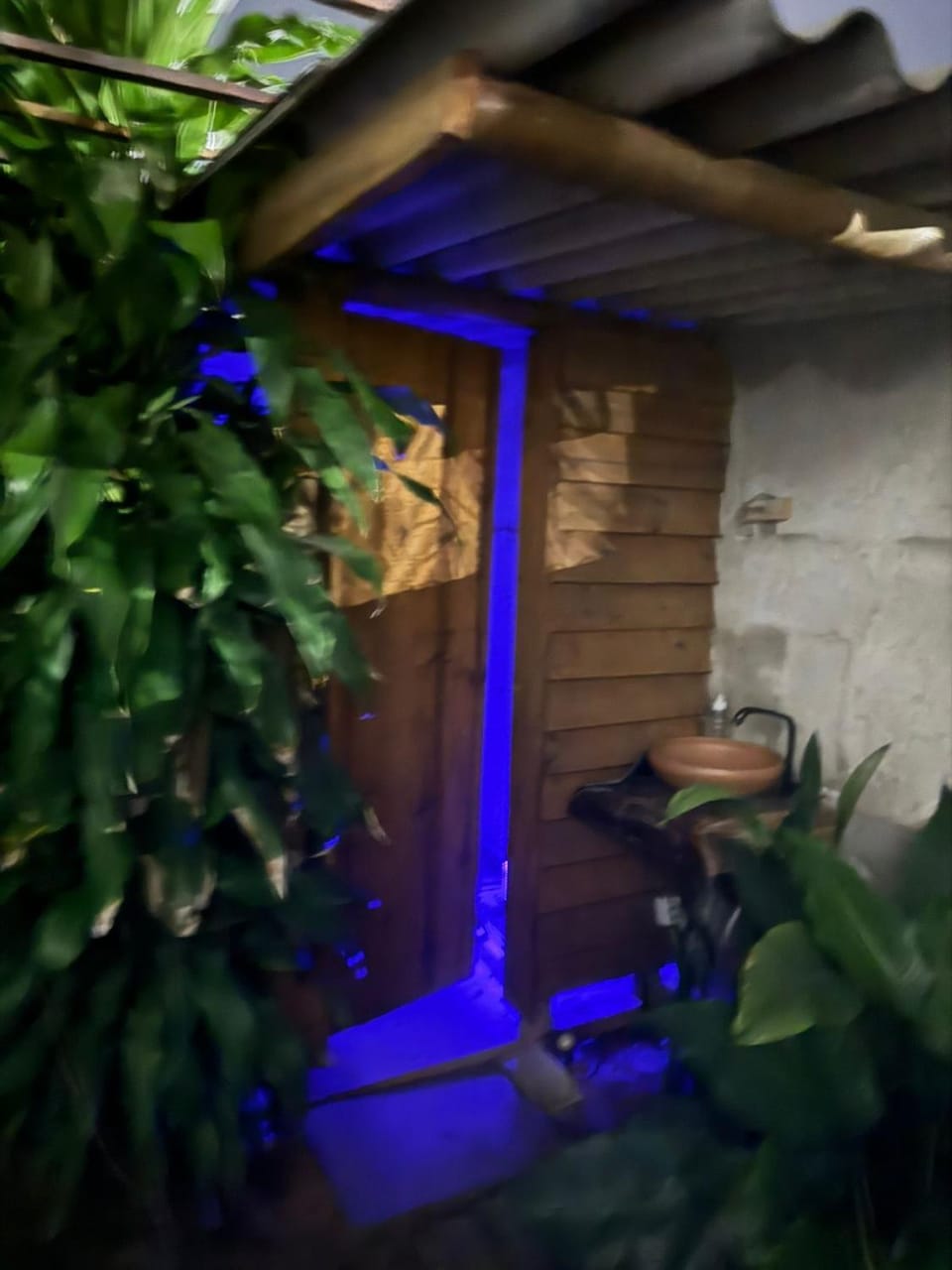 Night, Garden, Garden view