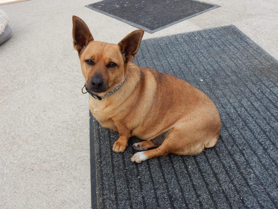 Stay With Jack Vacation rental in County Limerick