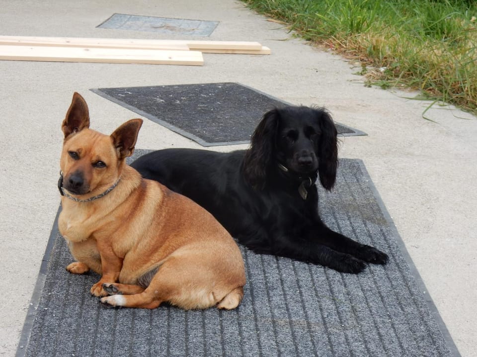 Stay With Jack Vacation rental in County Limerick