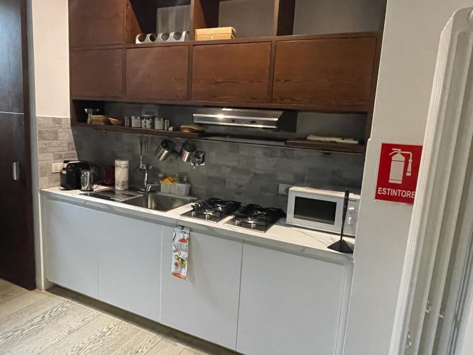 Kitchen or kitchenette, kitchen