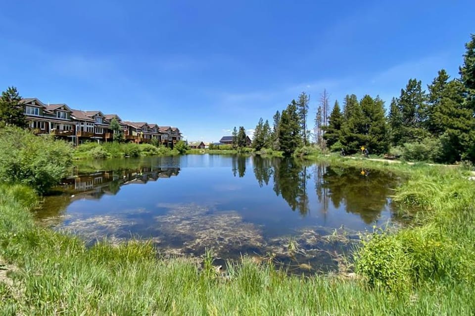 Hi Country Haus Haven Apartment in Fraser