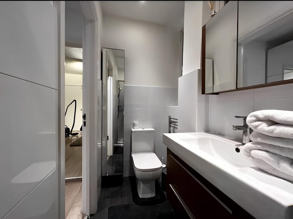 Great 1 bed flat London/Chiswick Apartment in London Borough of Ealing