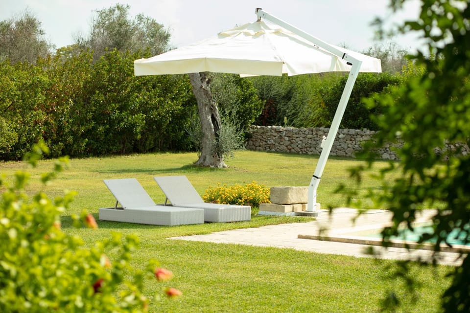 Garden, Garden view, Garden view, Swimming pool, Swimming pool