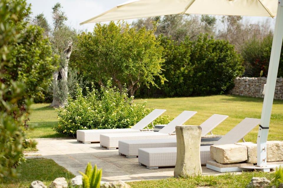 Garden, Pool view, Swimming pool