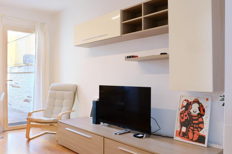 TV and multimedia