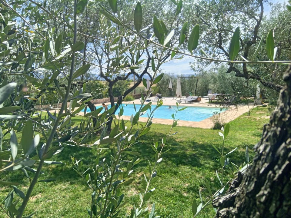 Garden, Swimming pool