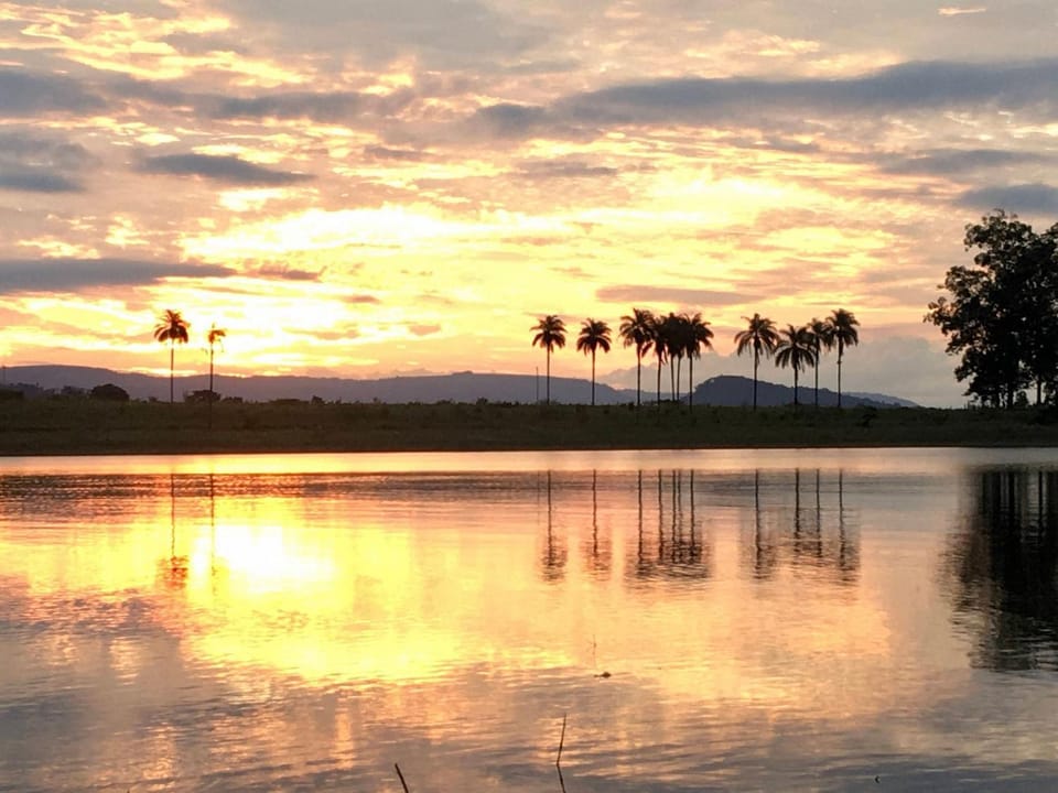 Lake view