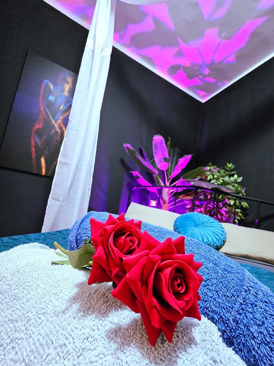 AMA Esclusive SPA Madama House in Veneto