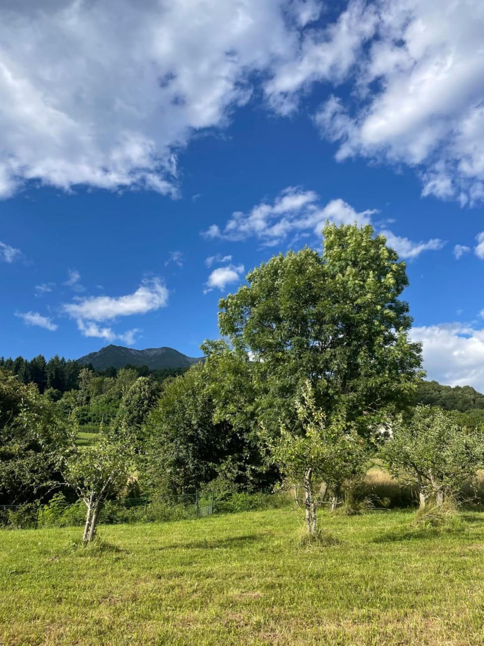 Casa Acquariana Bed and Breakfast in Belluno