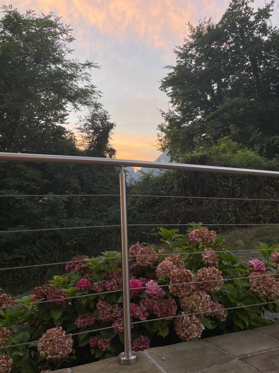 Garden, Sunset