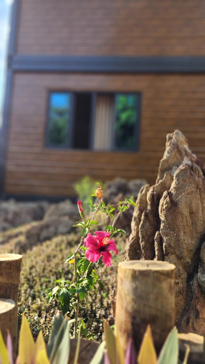 Garden, Garden