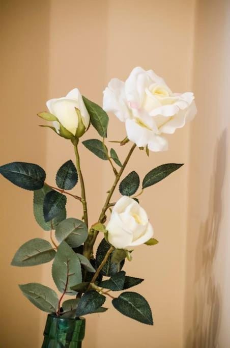 19 Cozy Central Apartment with Balcony Apartment in Sofia