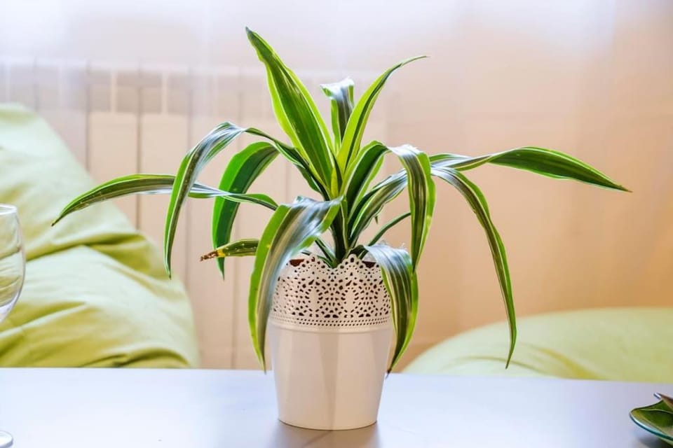 19 Cozy Central Apartment with Balcony Apartment in Sofia