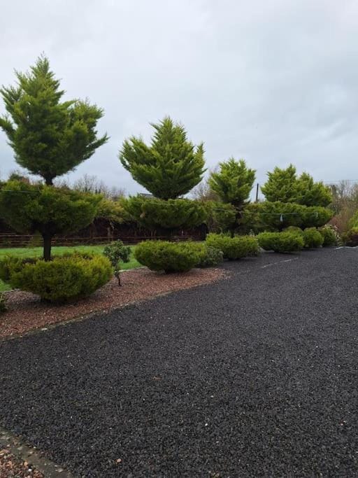 Natural landscape, Garden, Garden view, Parking