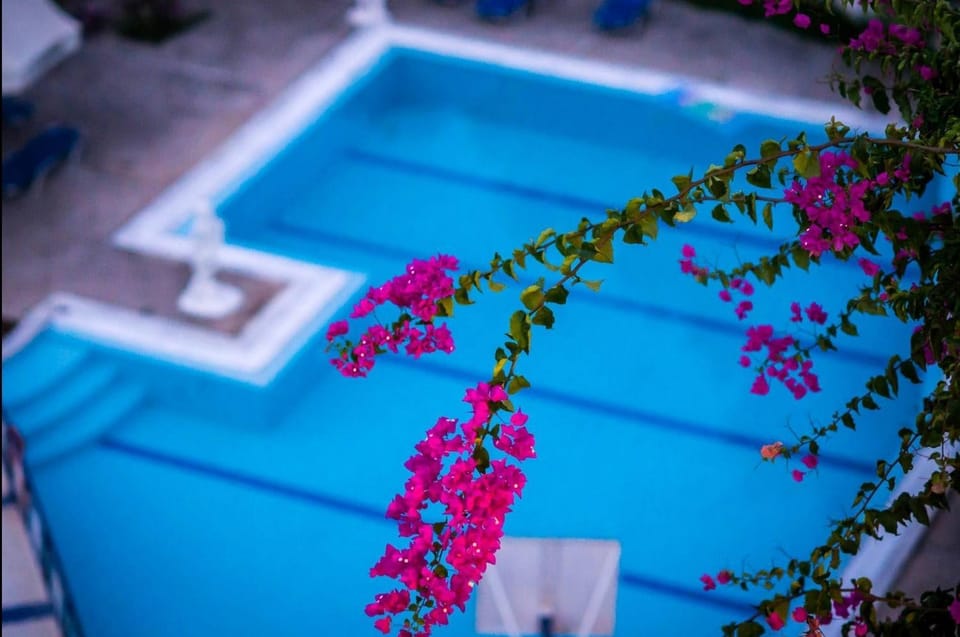 Swimming pool, Swimming pool