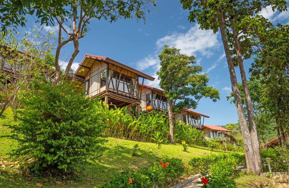 Property building, Garden
