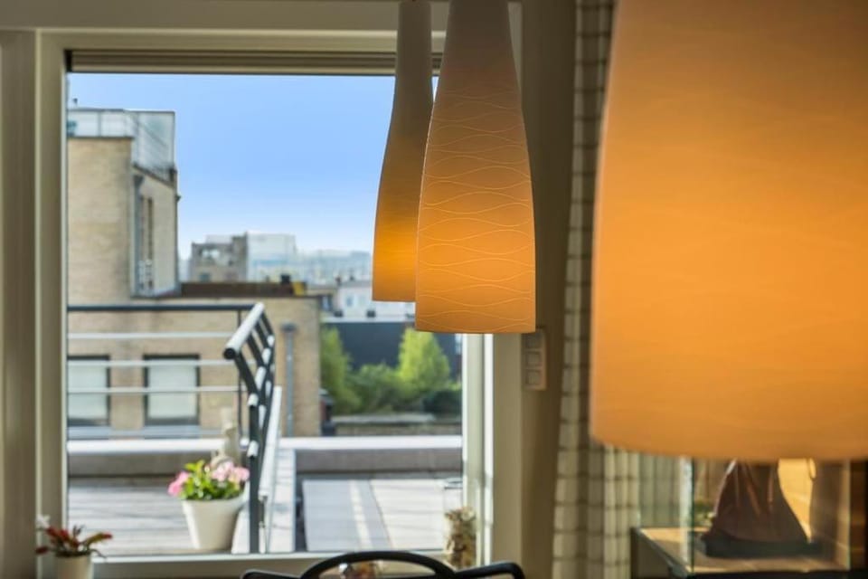 Ruim appartement met heerlijk zonneterras Apartment in Bruges