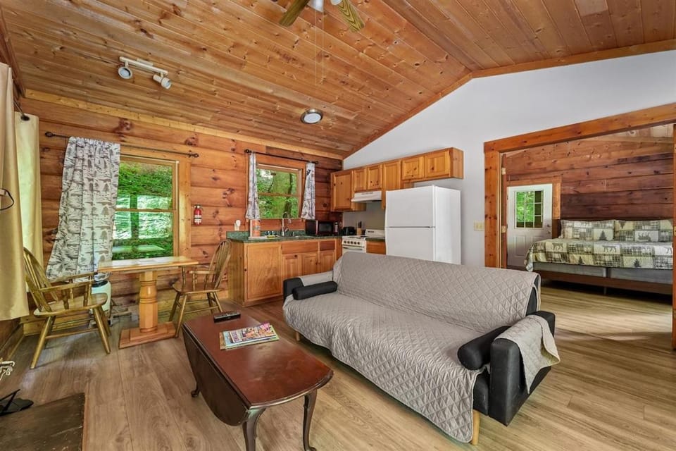 Pet-Friendly Cabin, In-Room Jacuzzi, King Bed, WiFi Cabin in Pittman Center