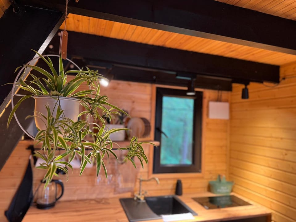 Vintage Cabin Cabin in Georgia