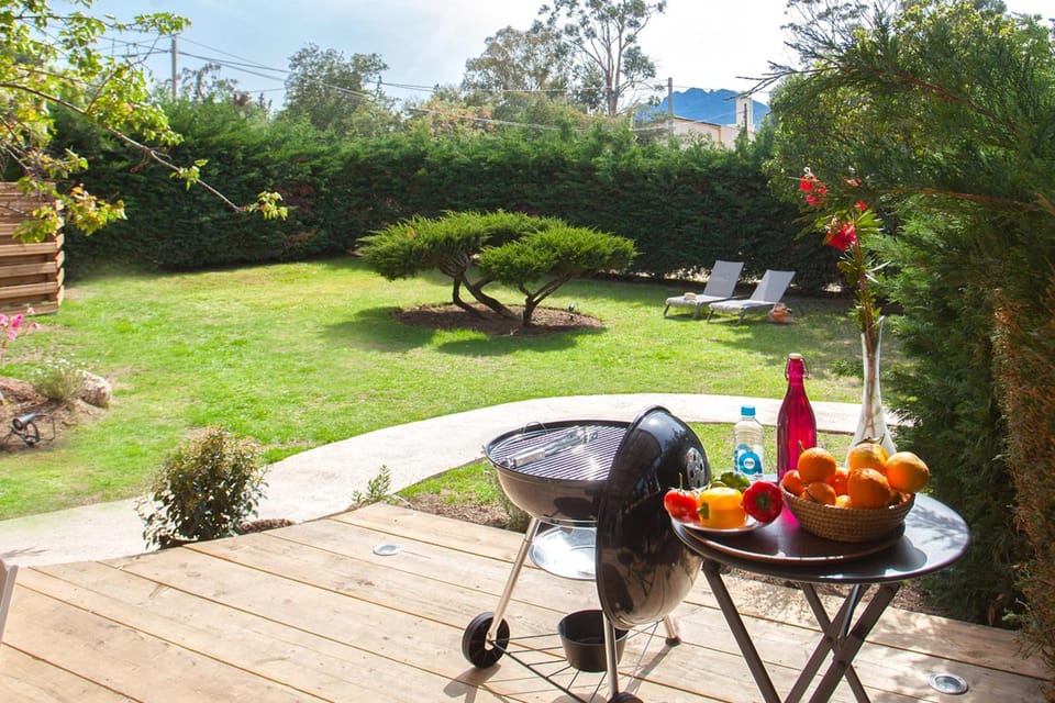 Patio, Spring, Garden, Garden view