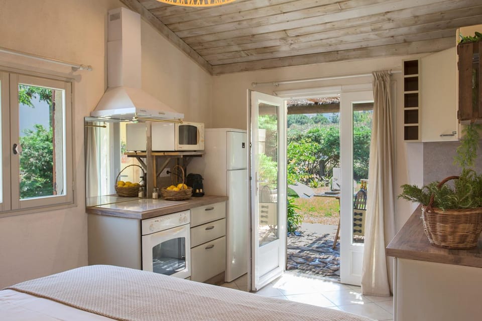 Quiet mini-villa "Dracena" with its pretty garden - 2 people Apartment in Calvi