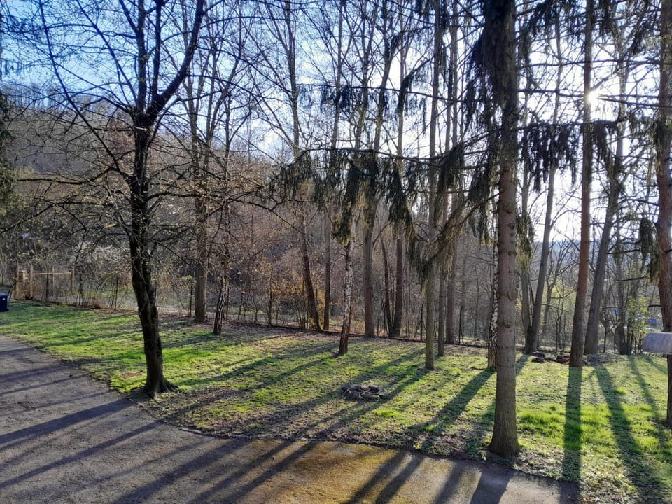 Garden, Garden