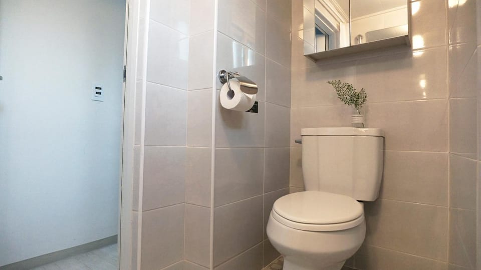 Shower, Toilet, Bathroom, Decorative detail, Decorative detail