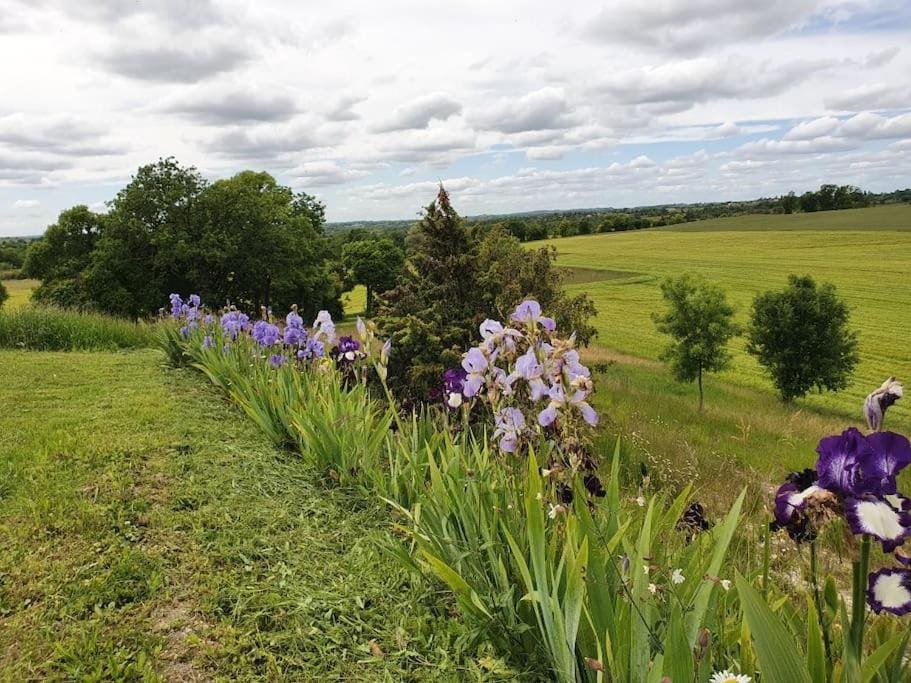 Maison en pierre situé au milieu des champs de blé Villa in Occitanie