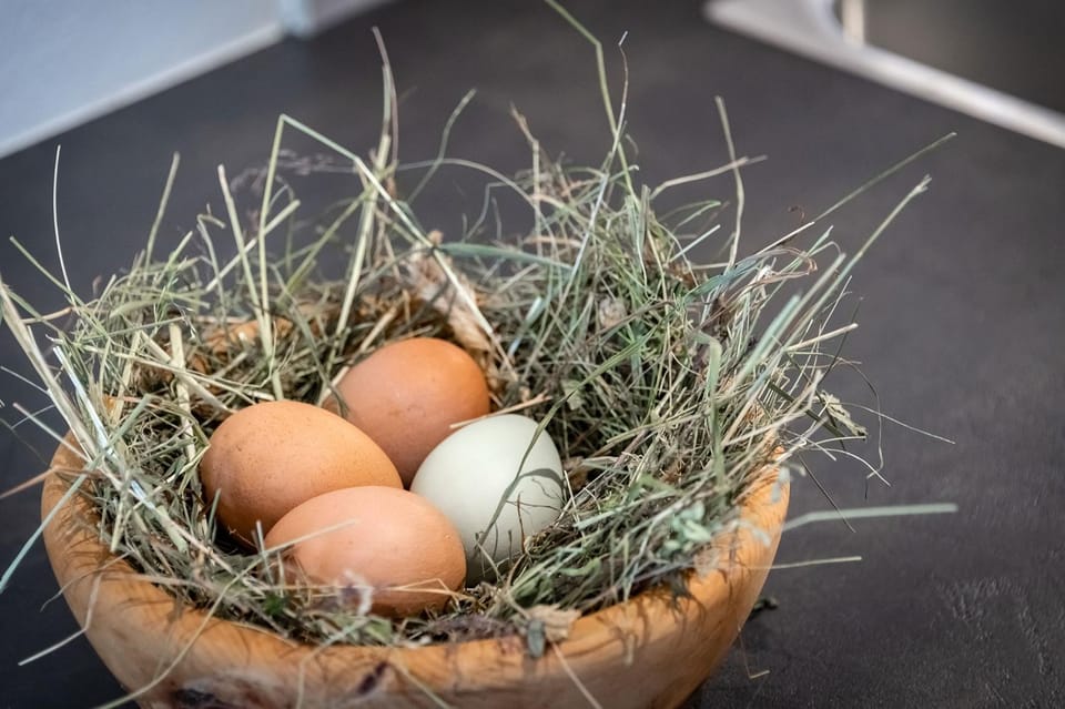 Joggelehof - Ruhe,Natur und Erholung in Ridnaun Apartment in Trentino-South Tyrol