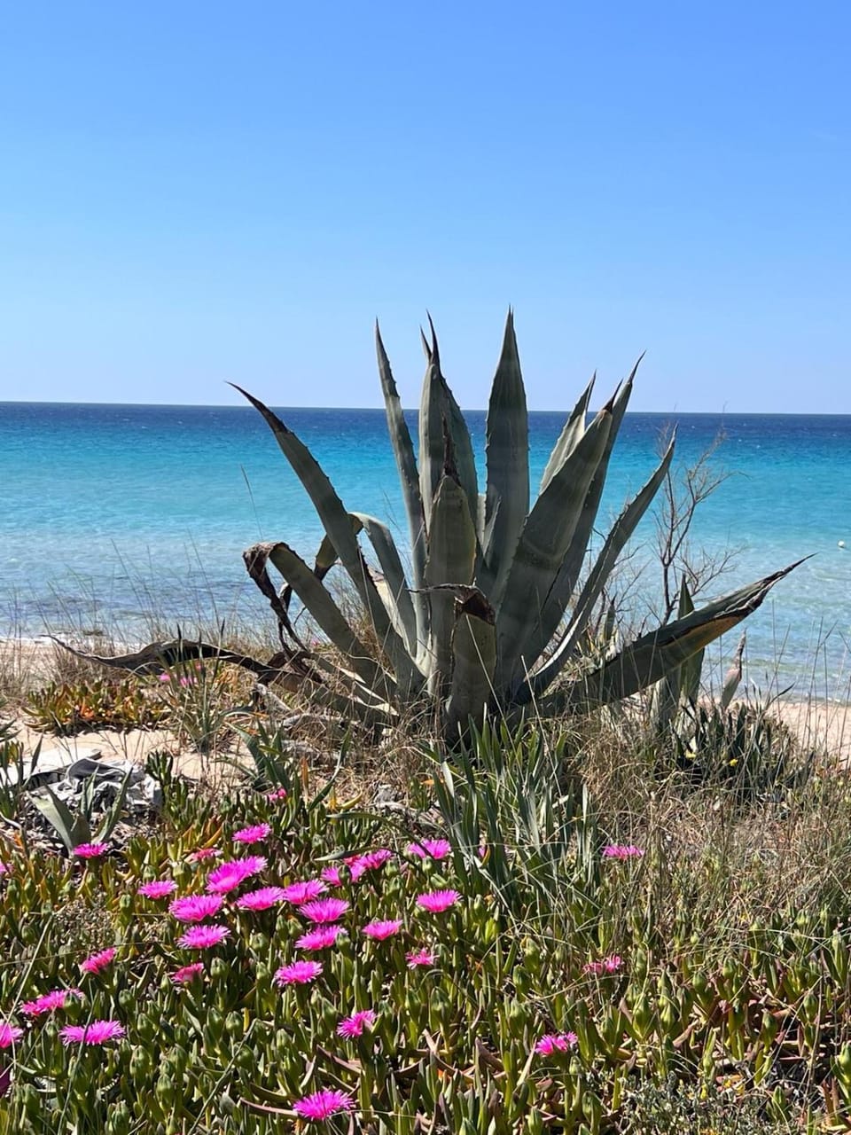 Natural landscape, Beach