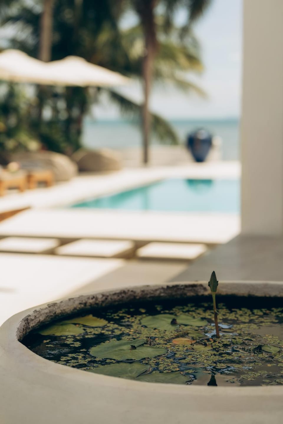 Villa Teri Villa in Ko Samui